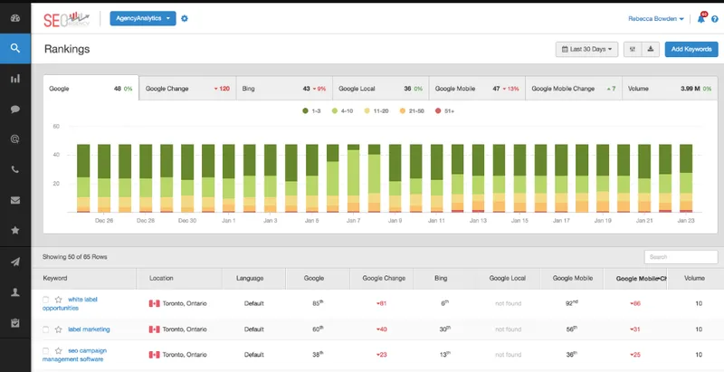 AgencyAnalytics SEO
