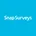 Snap Surveys