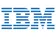 IBM PMO