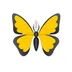 Ulysses Writing App