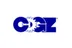 COGZ CMMS Industrial
