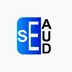 SE Auditoría