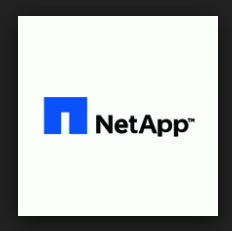 NetApp Backup Backup Guatemala
