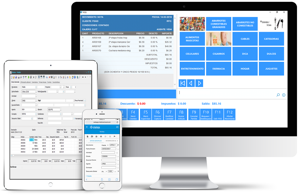 Intelisis ERP